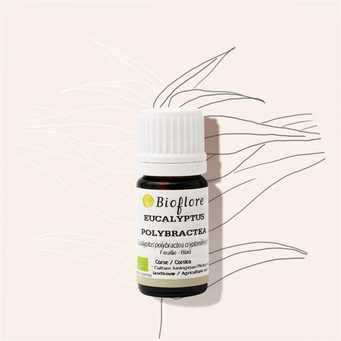 HE EUCALYPTUS CRYPT. BIO 5ML HE EUCALYPTUS CRYPT. BIO 5ML