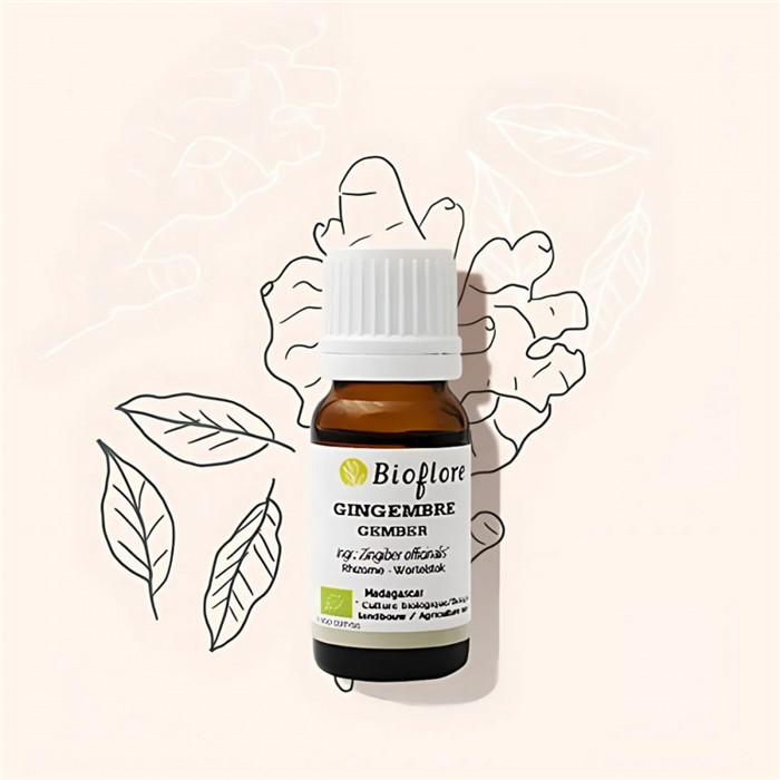 HE GINGEMBRE BIO 10ML HE GINGEMBRE BIO 10ML