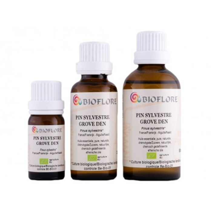 HE PIN SYLVESTRE BIO HE PIN SYLVESTRE BIO