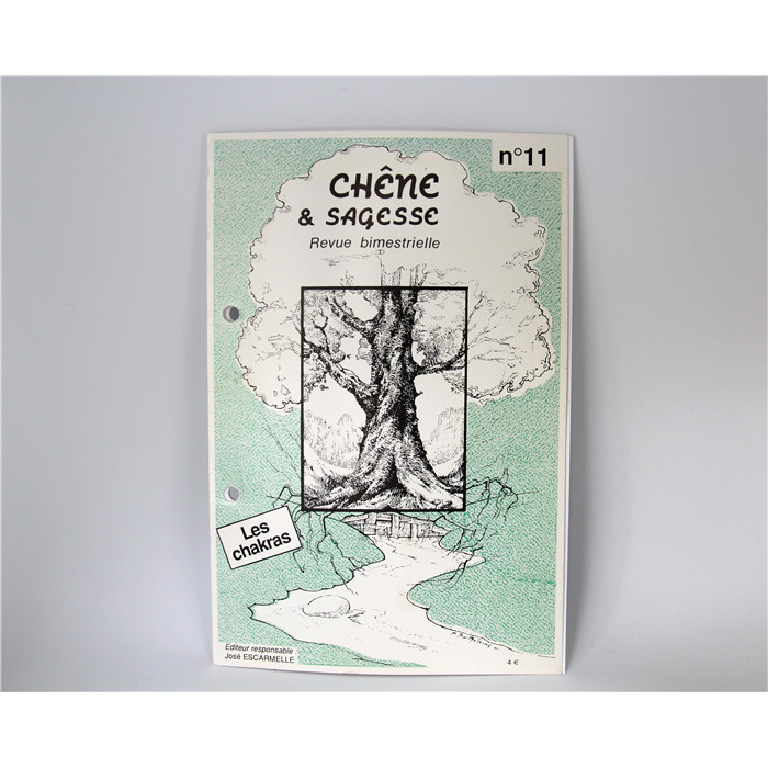LES CHAKRAS (11) LES CHAKRAS (11)