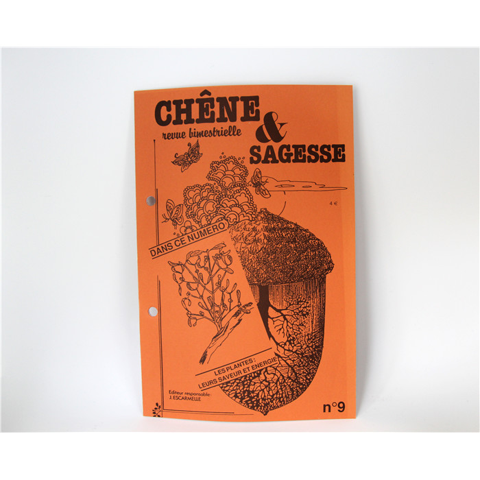 LES PLANTES : LEURS SAVEURS ET ENER. (9) LES PLANTES : LEURS SAVEURS ET ENER. (9)